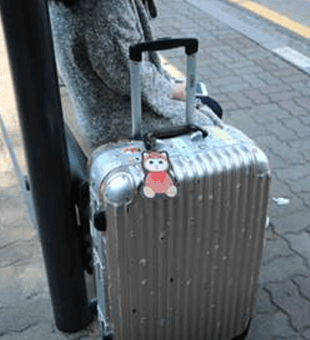 Stylish and Personalized Suitcases - LOG-ON