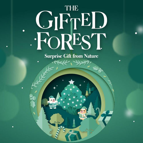 The Gifted Forest - LOG-ON