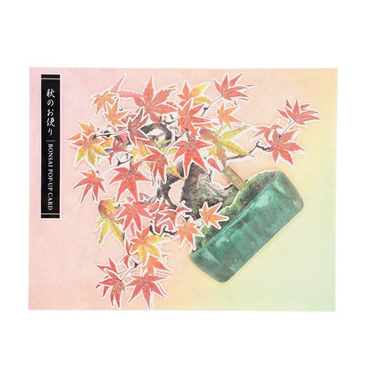 APJ Autumn Card Pop Up - Bonsai Maple (25g) - LOG-ON