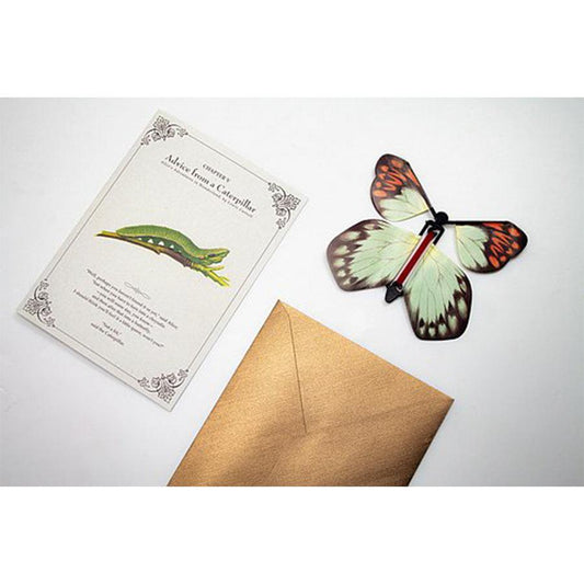 MR.SCI SCIENCE FACTORY MR.SCI Flying Butterflies Card - Hebomoia Glaucippe - LOG-ON