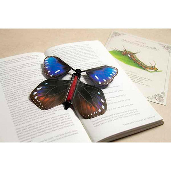 MR.SCI SCIENCE FACTORY MR.SCI Flying Butterflies Card - Euploea Eunice - LOG-ON